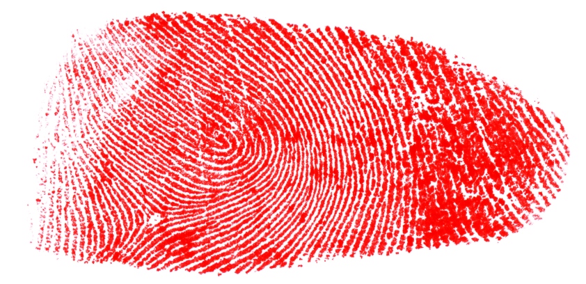 Biometria – kod, który nosimy w sobie/zdjęcie z Freeimages Stock linie-papilarne